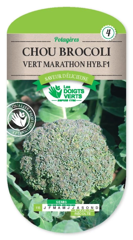 Le brocoli!  Potager Biologique