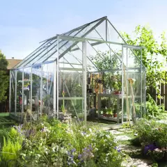 Serre de jardin HALLS Magnum 8,20 m2 + verre horticole 3 mm - Profilé aluminium / verre horticole 3 mm