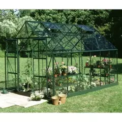 Serre de jardin HALLS Magnum verte 9,90 m2 + verre trempé - aluminium vert / verre trempé 3 mm