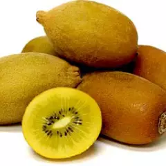 Kiwi jaune Femelle 'Golden Kiwi' (femelle) - kiwi jaune 'Golden Kiwi'