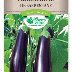 AUBERGINE Barbentane - FRAIS DE PORT OFFERT  Graines potagères