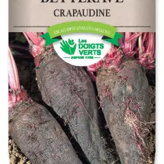 BETTERAVE Crapaudine - FRAIS DE PORT OFFERT Graines potagères