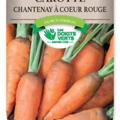 CAROTTE Chantenay - FRAIS DE PORT OFFERT Graines potagères