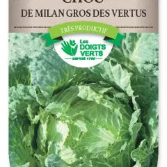 CHOU MILAN gros des Vertus 4 - FRAIS DE PORT OFFERT Graines potagères