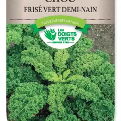 CHOU FRISE vert demi-nain - FRAIS DE PORT OFFERT Graines potagères