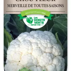 CHOU-FLEUR merveille toutes saisons - FRAIS DE PORT OFFERT Graines potagères