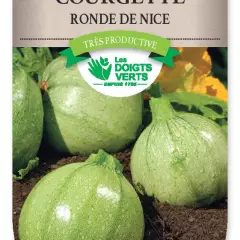 COURGETTE ronde de Nice - FRAIS DE PORT OFFERT Graines potagères