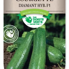 COURGETTE Diamant Hyb. F1 - FRAIS DE PORT OFFERTGraines potagères