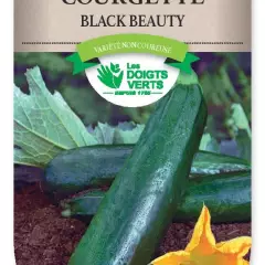 COURGETTE Black Beauty - FRAIS DE PORT OFFERT Graines potagères