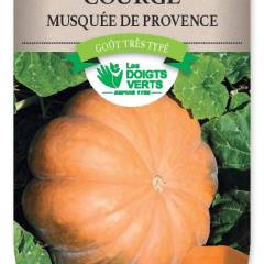 COURGE Musquee de Provence - FRAIS DE PORT OFFERT Graines potagères
