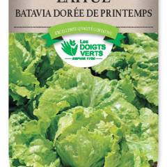 LAITUE BATAVIA doree Printemps - FRAIS DE PORT OFFERT Graines potagères