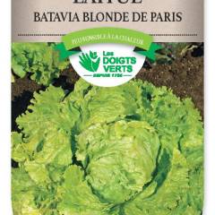 LAITUE BATAVIA blonde de Paris - FRAIS DE PORT OFFERTGraines potagères