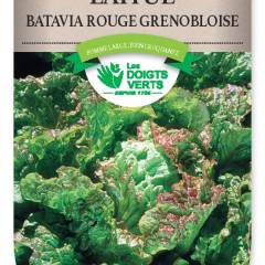 LAITUE BATAVIA rouge Grenobloise - FRAIS DE PORT OFFERT Graines potagères