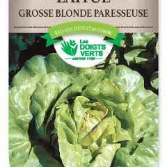 LAITUE grosse blonde paresseuse - FRAIS DE PORT OFFERT Graines potagères