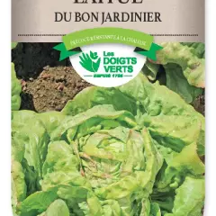 LAITUE du bon jardinier - FRAIS DE PORT OFFERT Graines potagères