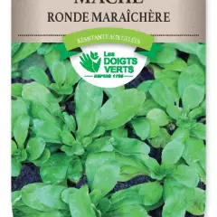 MACHE ronde maraichere - FRAIS DE PORT OFFERT Graines potagères