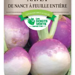 NAVET de Nancy feuille entiere - FRAIS DE PORT OFFERT Graines potagères