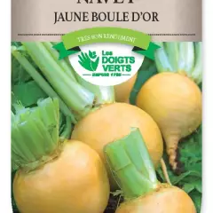 NAVET jaune boule d'or - FRAIS DE PORT OFFERTGraines potagères