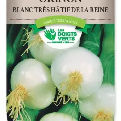 OIGNON BLANC très hâtif De la Reine - FRAIS DE PORT OFFERT Graines potagères