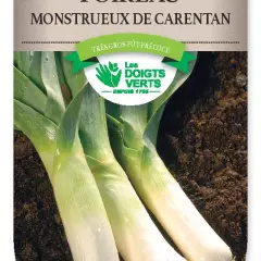 POIREAU monstrueux de Carentan - FRAIS DE PORT OFFERT Graines potagères