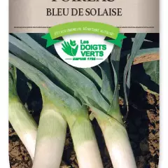 POIREAU bleu de Solaise - FRAIS DE PORT OFFERT Graines potagères