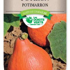 POTIRON Potimarron - FRAIS DE PORT OFFERT Graines potagères