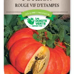 POTIRON Rouge vif d'Etampes - FRAIS DE PORT OFFERT Graines potagères