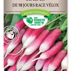 RADIS de 18 Jours race Velox - FRAIS DE PORT OFFERT Graines potagères