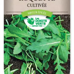 ROQUETTE cultivée - FRAIS DE PORT OFFERT Graines potagères