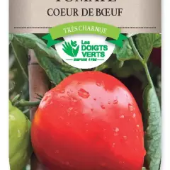 TOMATE Coeur de Boeuf - FRAIS DE PORT OFFERT Graines potagères