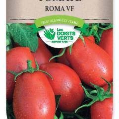 TOMATE Roma - Graines potagères