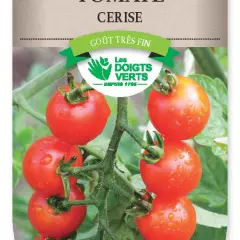 TOMATE Cerise - FRAIS DE PORT OFFERT Graines potagères