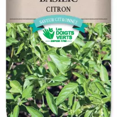 BASILIC Citron - FRAIS DE PORT OFFERT Graines potagères