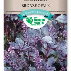 BASILIC Opale Bronze - FRAIS DE PORT OFFERT Graines potagères