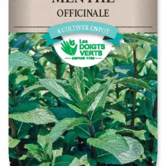 MENTHE Officinale - FRAIS DE PORT OFFERT Graines potagères