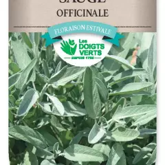 SAUGE Officinale - FRAIS DE PORT OFFERT Graines potagères