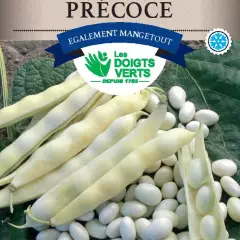 HARICOT Coco Nain blanc précoce / 250 g - Graines de Haricots / 250 grammes