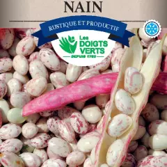 HARICOT NAIN Coco rose de Prague / 250 g - Graines de Haricots / 250 grammes