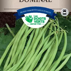 HARICOT NAIN Dominal / 200 g - Graines de Haricots / 200 grammes