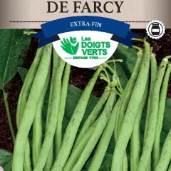 HARICOT NAIN Triomphe de Farcy / 250 g - Graines de Haricots / 250 grammes