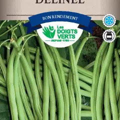 HARICOT NAIN Delinel / 250 g - Graines de Haricots / 250 grammes