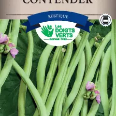 HARICOT NAIN Contender / 250 g - Graines de Haricots / 250 grammes