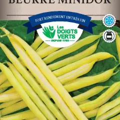 HARICOT NAIN Beurre Minidor / 250 g - Graines de Haricots / 250 grammes