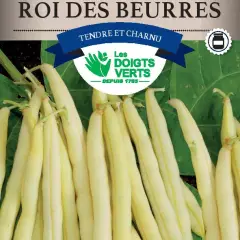 HARICOT NAIN Roi des Beurres / 250 g - Graines de Haricots / 250 grammes