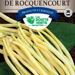 HARICOT NAIN Beurre Rocquencourt / 250 g - Graines de Haricots / 250 grammes