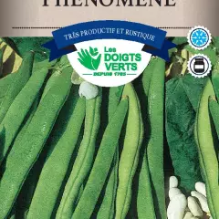 HARICOT RAME Phénomène / 250 g - Graines de Haricots / 250 grammes