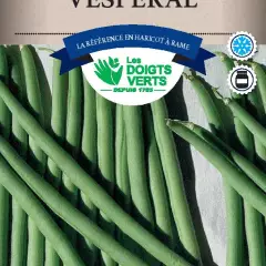 HARICOT RAME Vesperal / 100 g - Graines de Haricots / 100 grammes