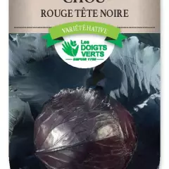 CHOU ROUGE Tete noire 3 - FRAIS DE PORT OFFERT Graines potagères