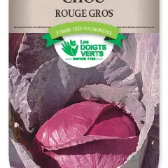 CHOU ROUGE Gros - FRAIS DE PORT OFFERT Graines potagères