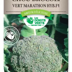 CHOU BROCOLI Vert Marathon Hyb. F1 - Graines potagères